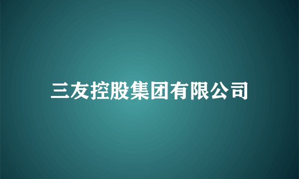 三友控股集团有限公司