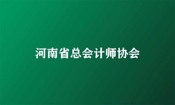 河南省总会计师协会