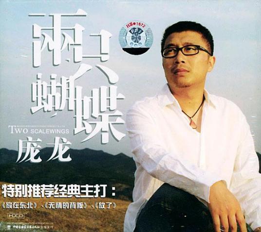 两只蝴蝶（2004年庞龙发行的音乐专辑）