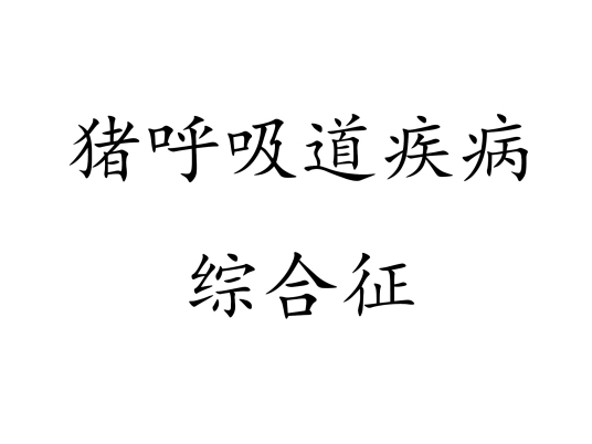 猪呼吸道疾病综合征