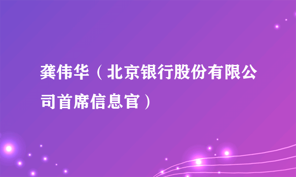 龚伟华（北京银行股份有限公司首席信息官）