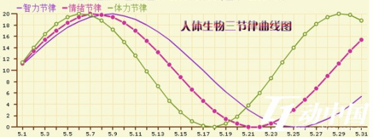 生物三节律