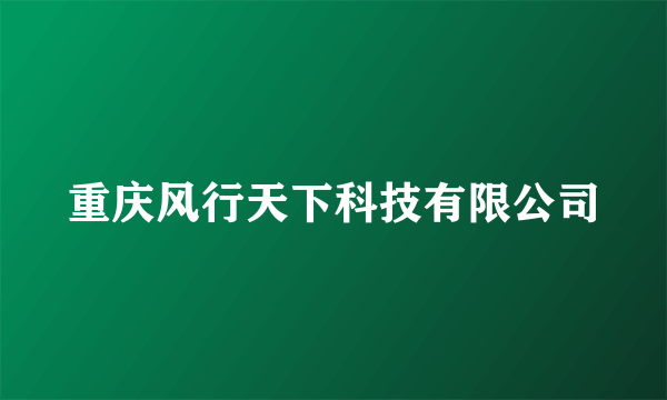 重庆风行天下科技有限公司