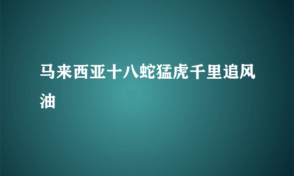 马来西亚十八蛇猛虎千里追风油