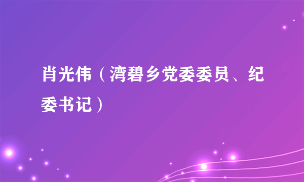 肖光伟（湾碧乡党委委员、纪委书记）