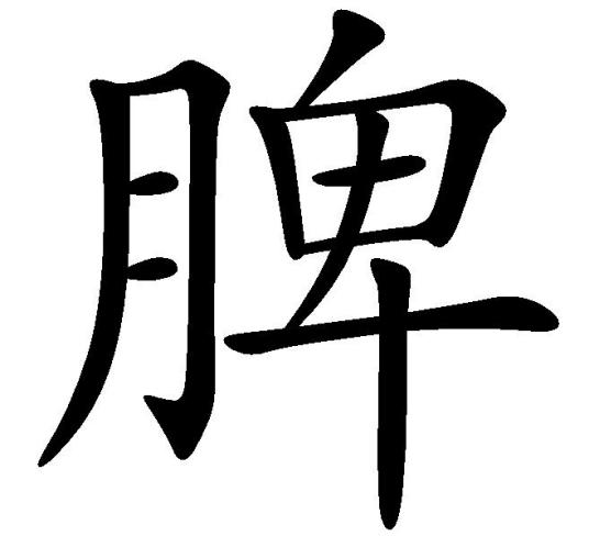 脾（汉语汉字）