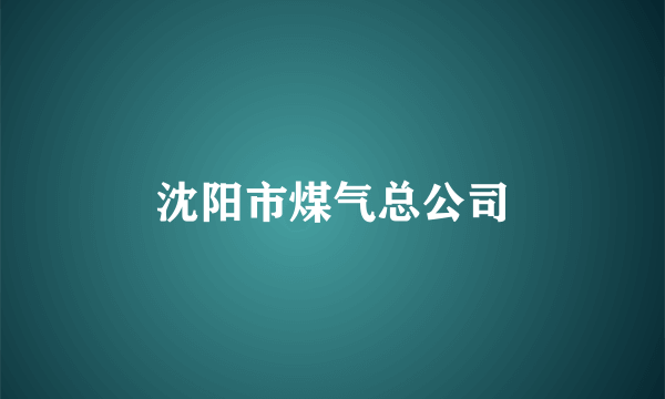 沈阳市煤气总公司