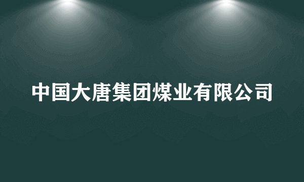 中国大唐集团煤业有限公司