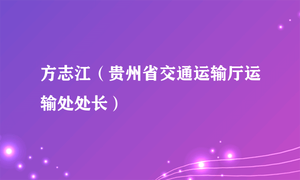 方志江（贵州省交通运输厅运输处处长）