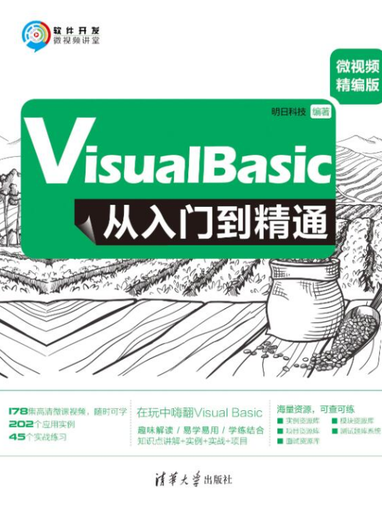 Visual Basic从入门到精通（微视频精编版）