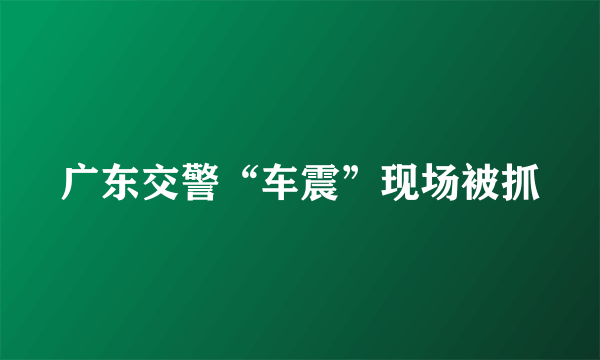 广东交警“车震”现场被抓