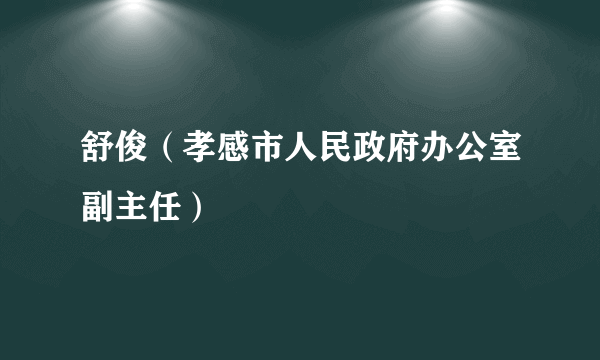 舒俊（孝感市人民政府办公室副主任）