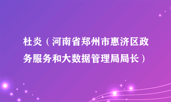 杜炎（河南省郑州市惠济区政务服务和大数据管理局局长）