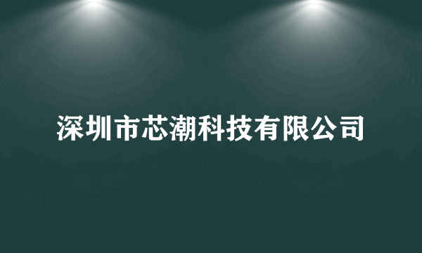 深圳市芯潮科技有限公司