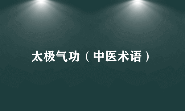 太极气功（中医术语）