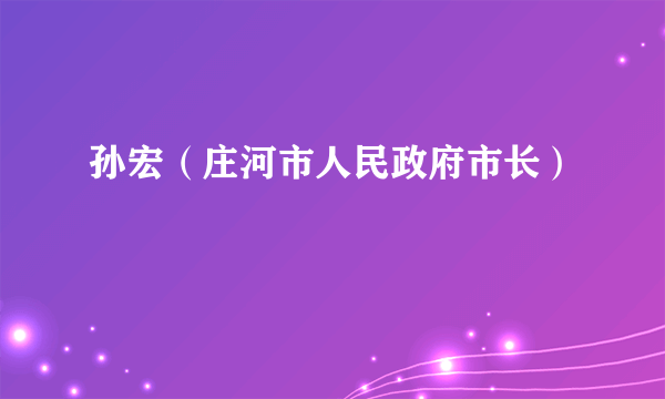 孙宏（庄河市人民政府市长）