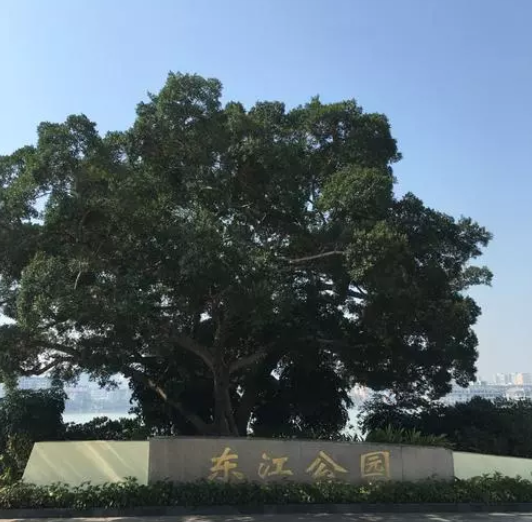 东江公园（惠州市东江公园）