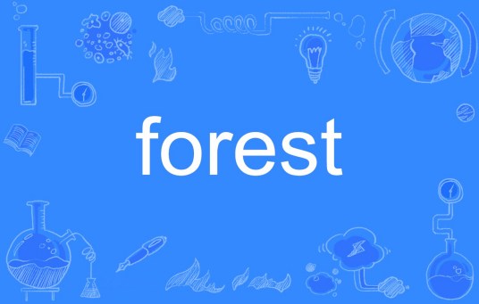 forest（英文单词）