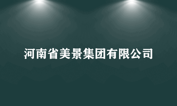 河南省美景集团有限公司