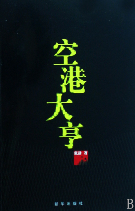 空港大亨（2008年新华出版社出版的图书）