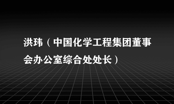 洪玮（中国化学工程集团董事会办公室综合处处长）