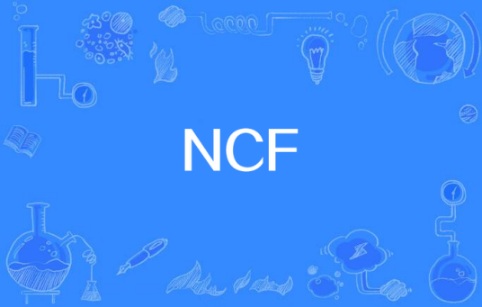 NCF（净现金流量）