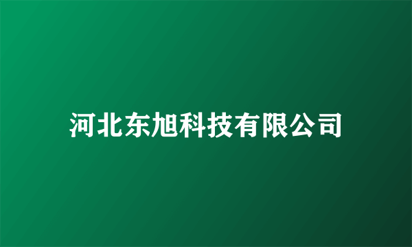 河北东旭科技有限公司