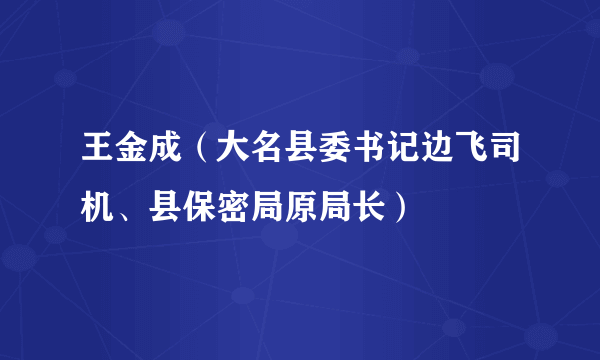 王金成（大名县委书记边飞司机、县保密局原局长）