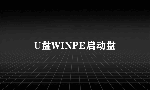 U盘WINPE启动盘