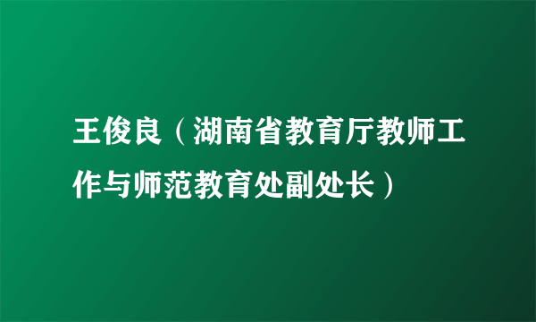 王俊良（湖南省教育厅教师工作与师范教育处副处长）