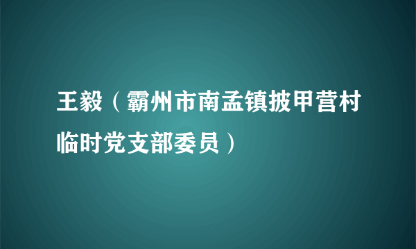 王毅（霸州市南孟镇披甲营村临时党支部委员）