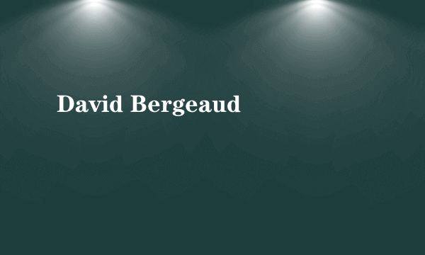 David Bergeaud