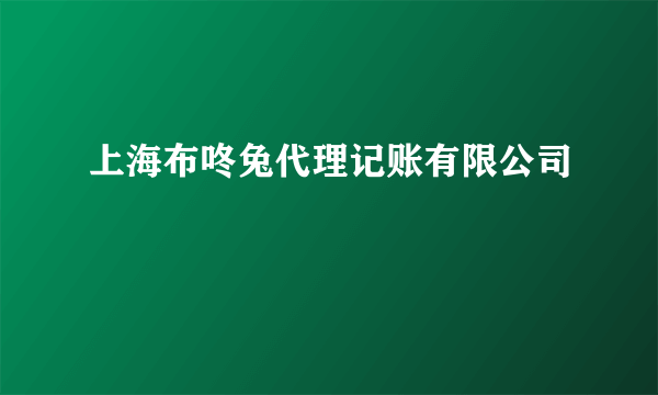 上海布咚兔代理记账有限公司