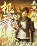 机武风暴（三只蚂蚁创作的网络小说）