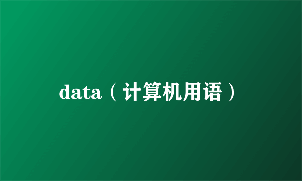 data（计算机用语）