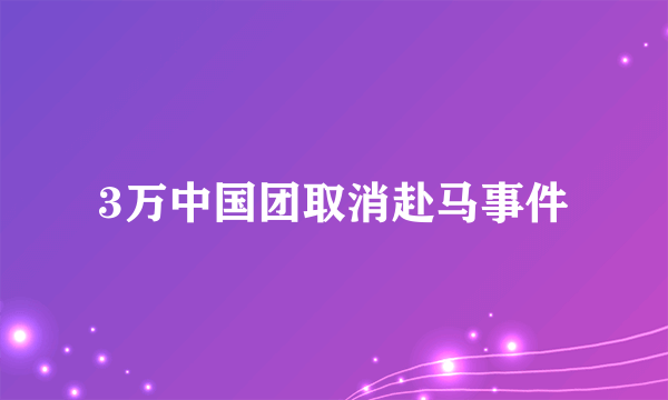 3万中国团取消赴马事件