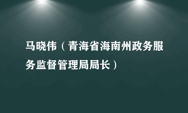 马晓伟（青海省海南州政务服务监督管理局局长）