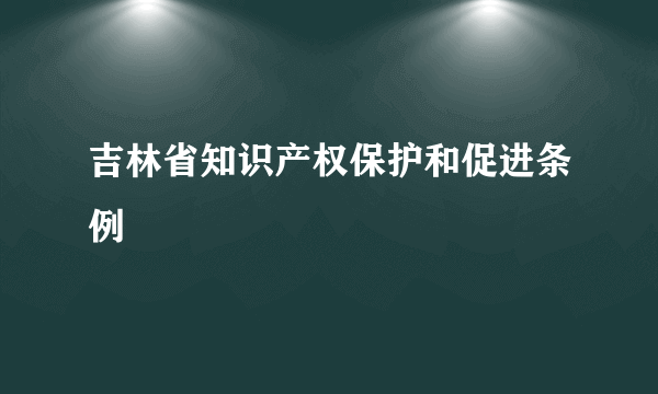 吉林省知识产权保护和促进条例