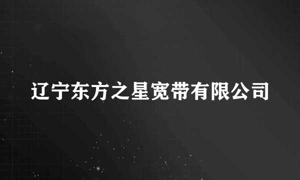 辽宁东方之星宽带有限公司