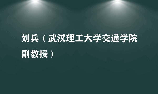 刘兵（武汉理工大学交通学院副教授）