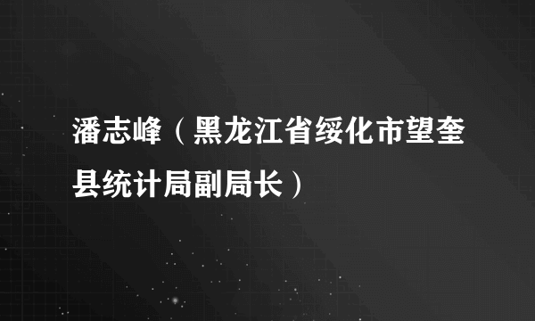 潘志峰（黑龙江省绥化市望奎县统计局副局长）