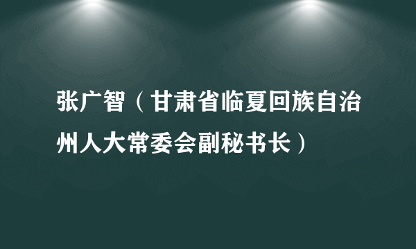 张广智（甘肃省临夏回族自治州人大常委会副秘书长）