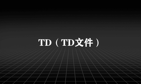 TD（TD文件）