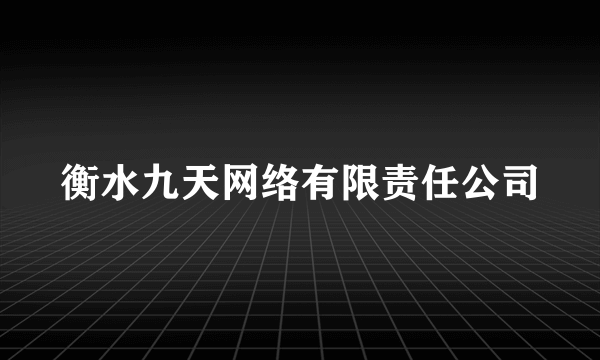 衡水九天网络有限责任公司