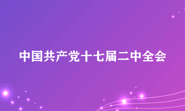 中国共产党十七届二中全会