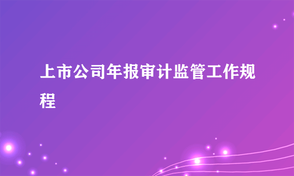 上市公司年报审计监管工作规程