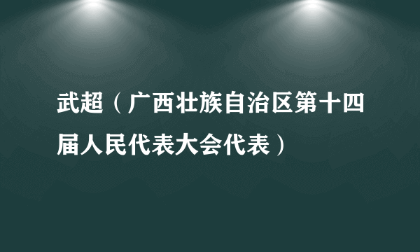 武超（广西壮族自治区第十四届人民代表大会代表）