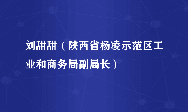 刘甜甜（陕西省杨凌示范区工业和商务局副局长）