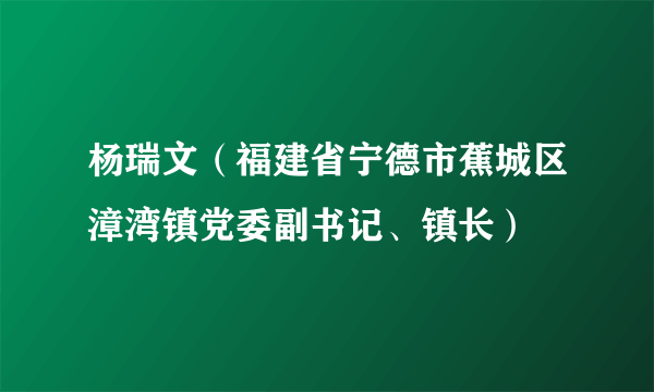 杨瑞文（福建省宁德市蕉城区漳湾镇党委副书记、镇长）