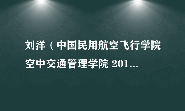 刘洋（中国民用航空飞行学院空中交通管理学院 2019 级交通运输专业学生）